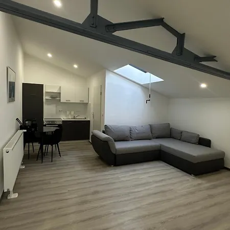Moderns Loft-apartment Stilvoll Und Zeitlos Apartment Mainz